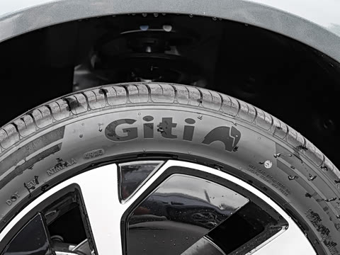 2025�� DM-i 205�캽Pro��