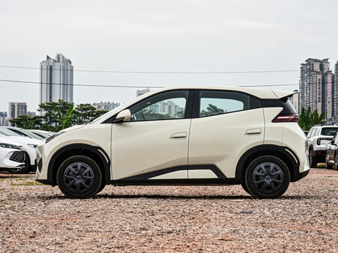 2026�� 305km ������