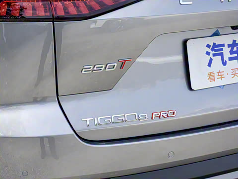 2025�� 290T ��������+