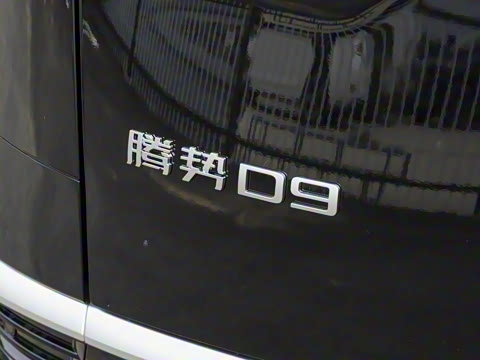 2025�� DM-i ��������