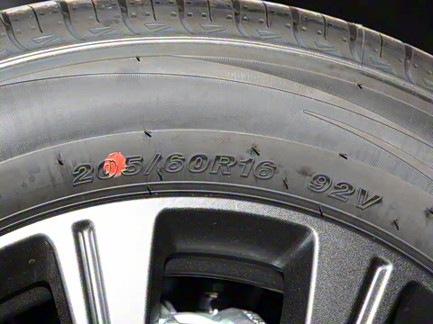 2025�� 520�ǻݳ��а�