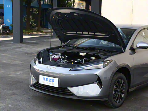 2025�� 520�ǻݳ��а�