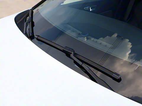 2026�� B4 ��Զ�˶���