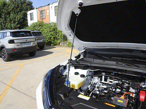 2025�� 518�����͹ھ���