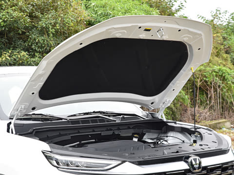 2026�� PRO 1.5T DCT ������ 7��