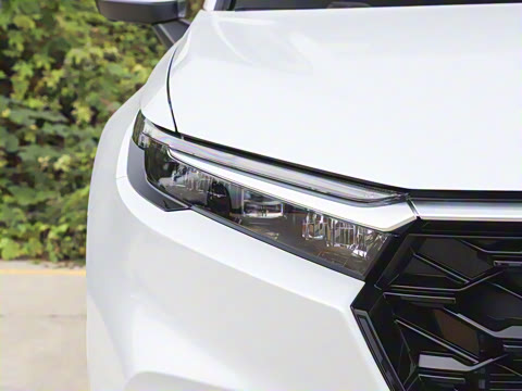 2026�� ȫ��30����ҫ�� 2.0L e:HEV ���������