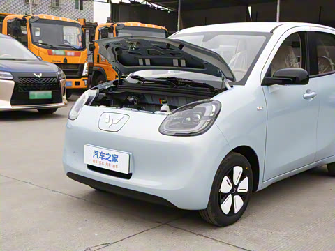 2025�� ���Ű� 301km ����+��