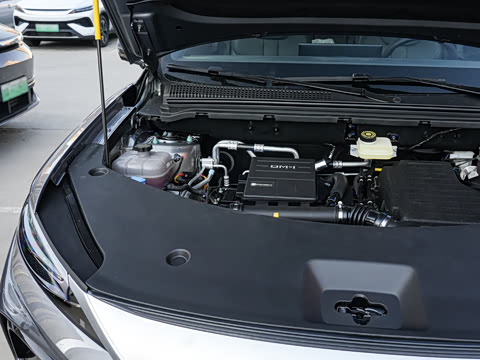 2026�� DM-i 220KM��Խ��