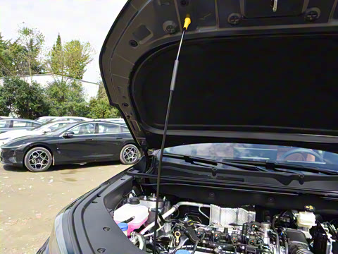 2026�� �ǻ۹ھ��� 1.5T ������ ������