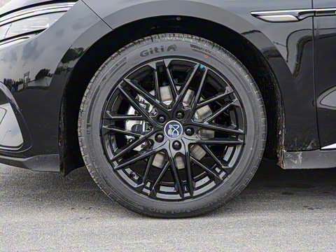 2025�� DM-i �Ǽݰ� 245KM������