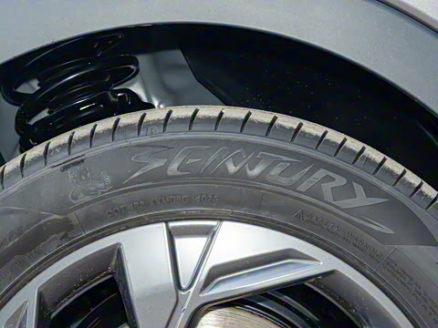 2026�� Ӱ�� 270T ������