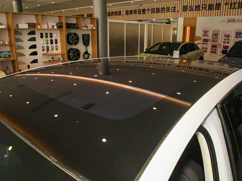 2025�� 520 ��ѡ��