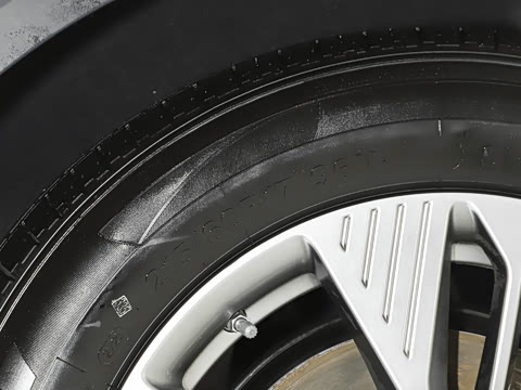 2025�� 565km �����