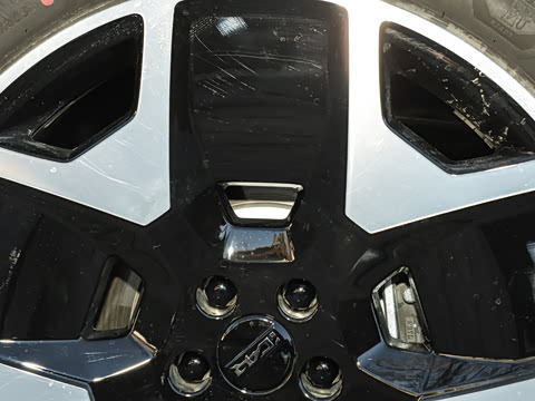 2025�� �����״��