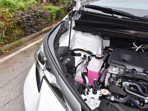 2026�� 2.5L ˫�����������