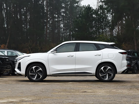 2026�� �ǻ������� 130km ս����