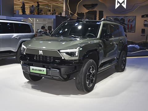 2025�� Pro