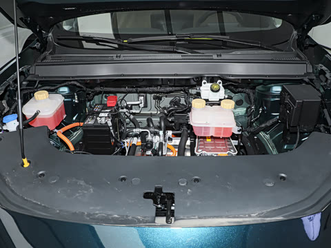 2025�� 530�캽��