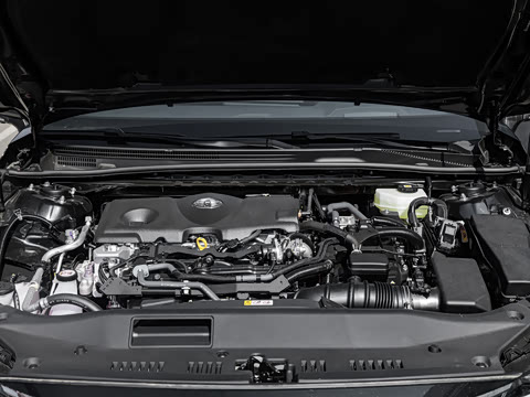 2026�� ˫�� 2.5L XLE����