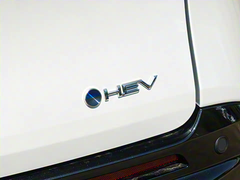 2026�� 2.5L�춯 ������