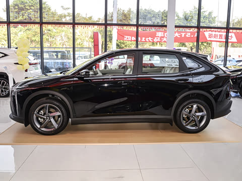 2026�� 610 ������