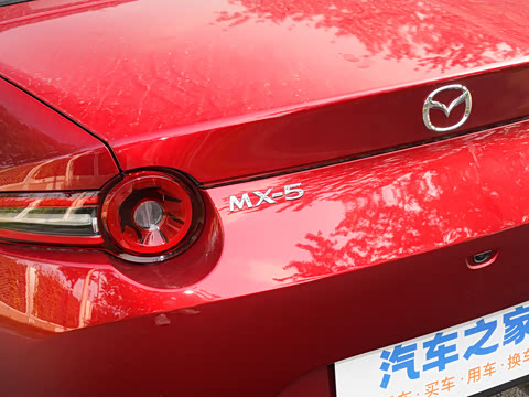 2025�� �ֶ��������� ī�����