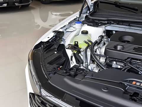 2026�� 1.5T EcoBoost ������