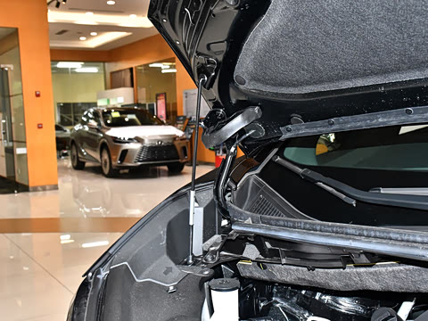 2025�� 500h ��������