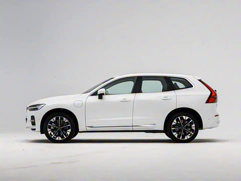 2026�� ���ʽ�춯 �������������ź�����