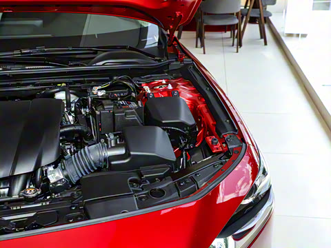 2025�� 2.0L �Զ����Ű�