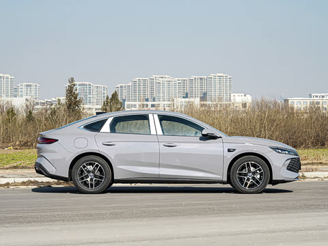 2026�� DM-i 170KM��Խ��