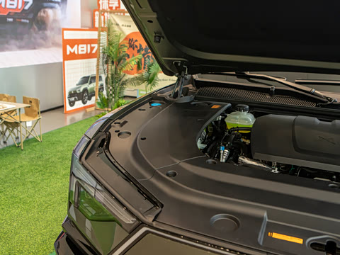 2026�� Max+