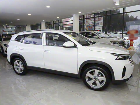 2026�� 280TSI �Զ����а�