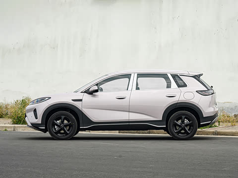 2026�� DM-i 220������