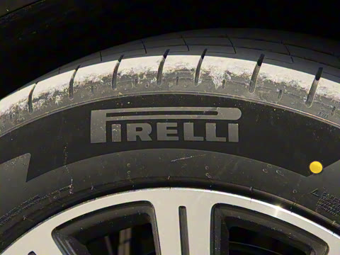 2025�� ���� Max+ ���������� 