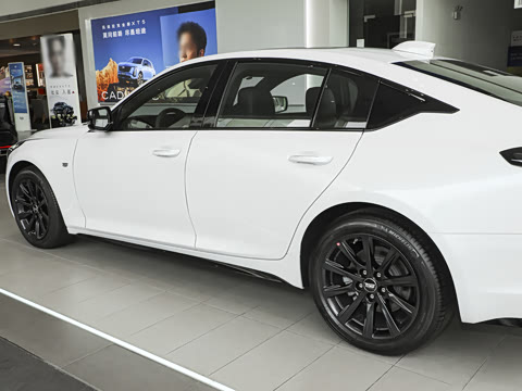 2025�� 28T �������ܰ�