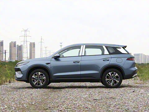 2026�� DM-i 133KM��Խ��