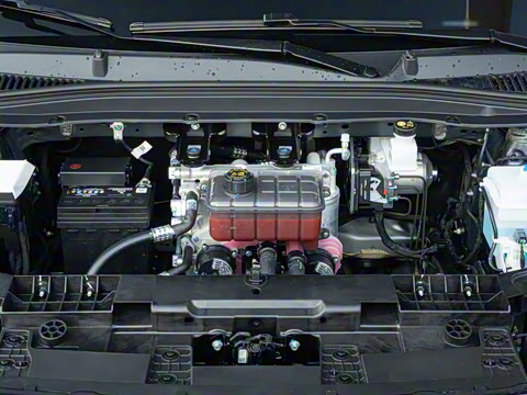 2025�� 650������