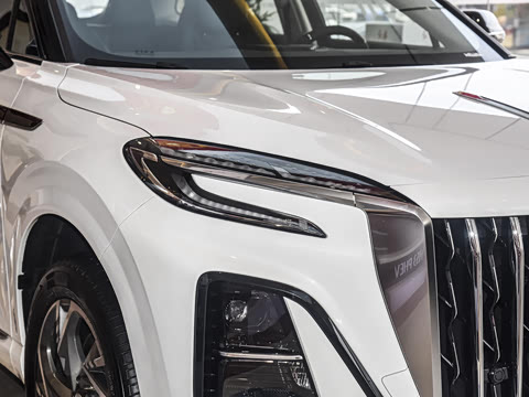 2024�� 115km ��Ϊ��