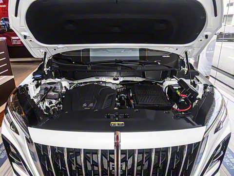 2024�� 115km ��Ϊ��