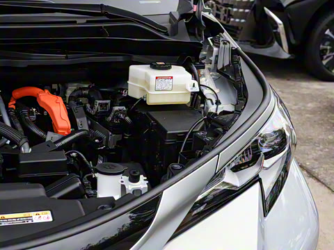 2026�� 2.5L ˫����������