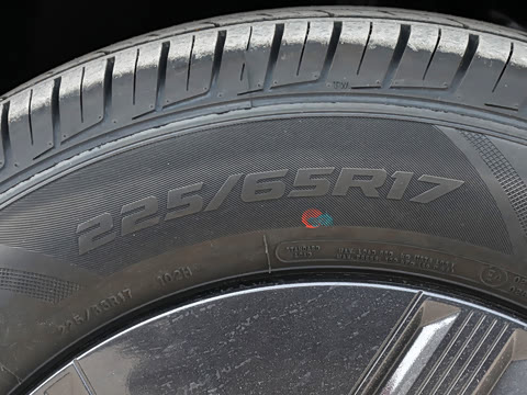 2026�� 530km ������