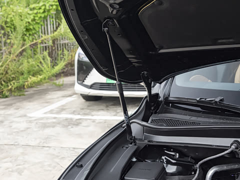 2026�� 300 ����Black Edition