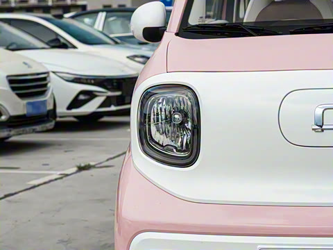 2026�� 222km �Ų���