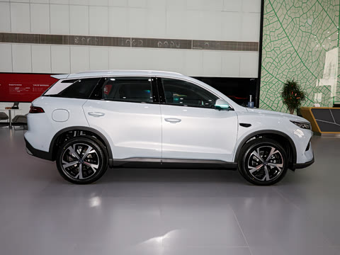 2026�� DM-i 220KM׿Խ��