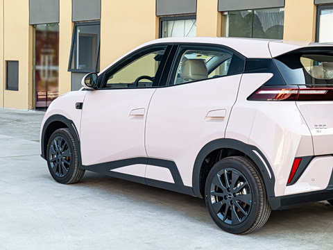 2026�� 305km ���ɰ�