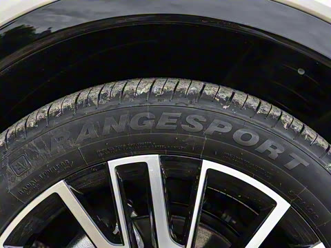 2025�� 215����������