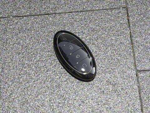 2025�� PHEV ����������