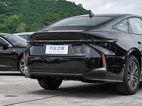 2026�� 300h