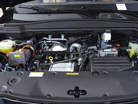 2025�� 185KM�����